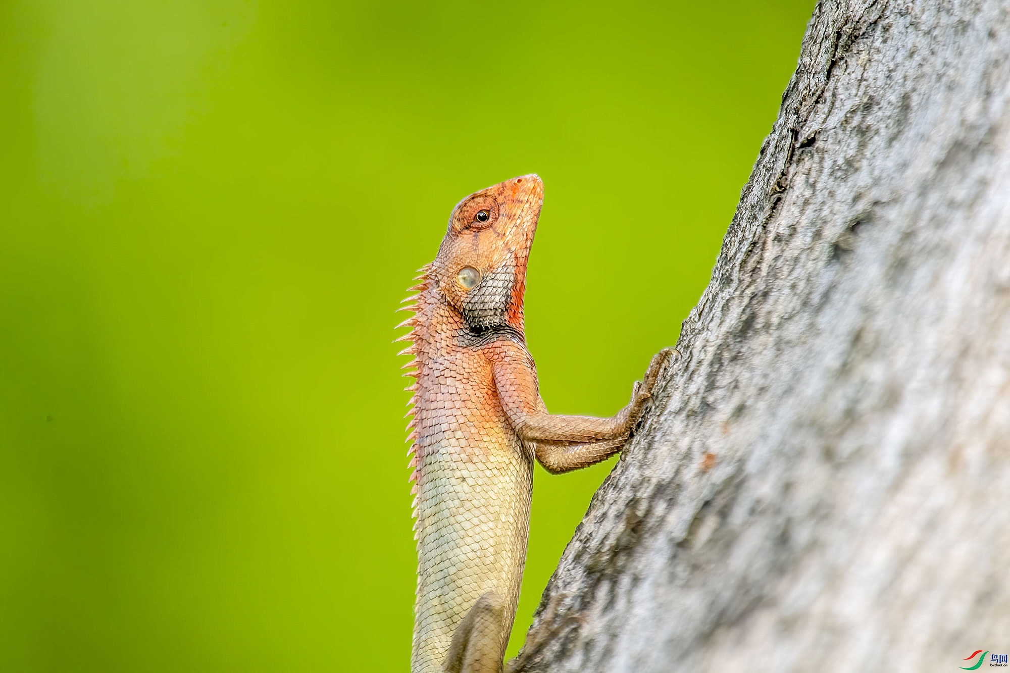 DSC_3654_����.jpg