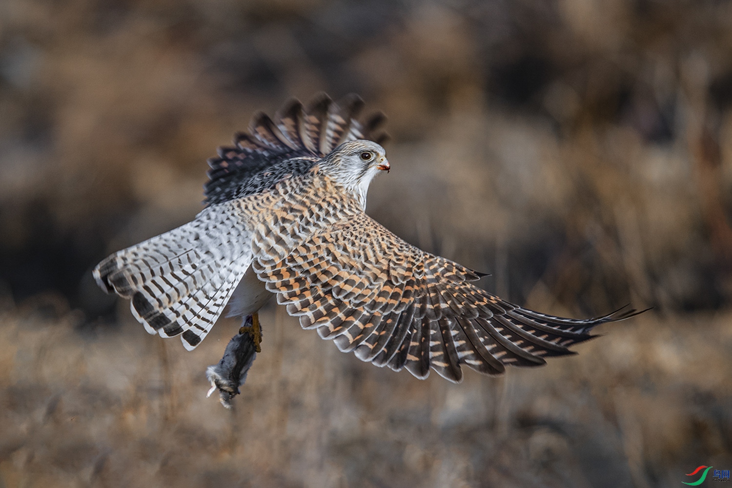 ����  01.jpg