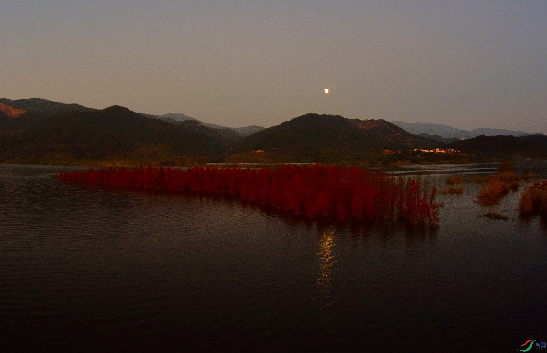 D8I_0366.jpg