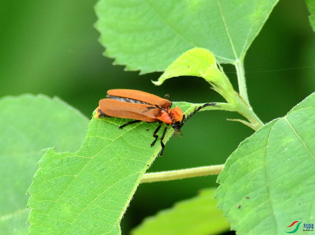 367A6836_����.jpg