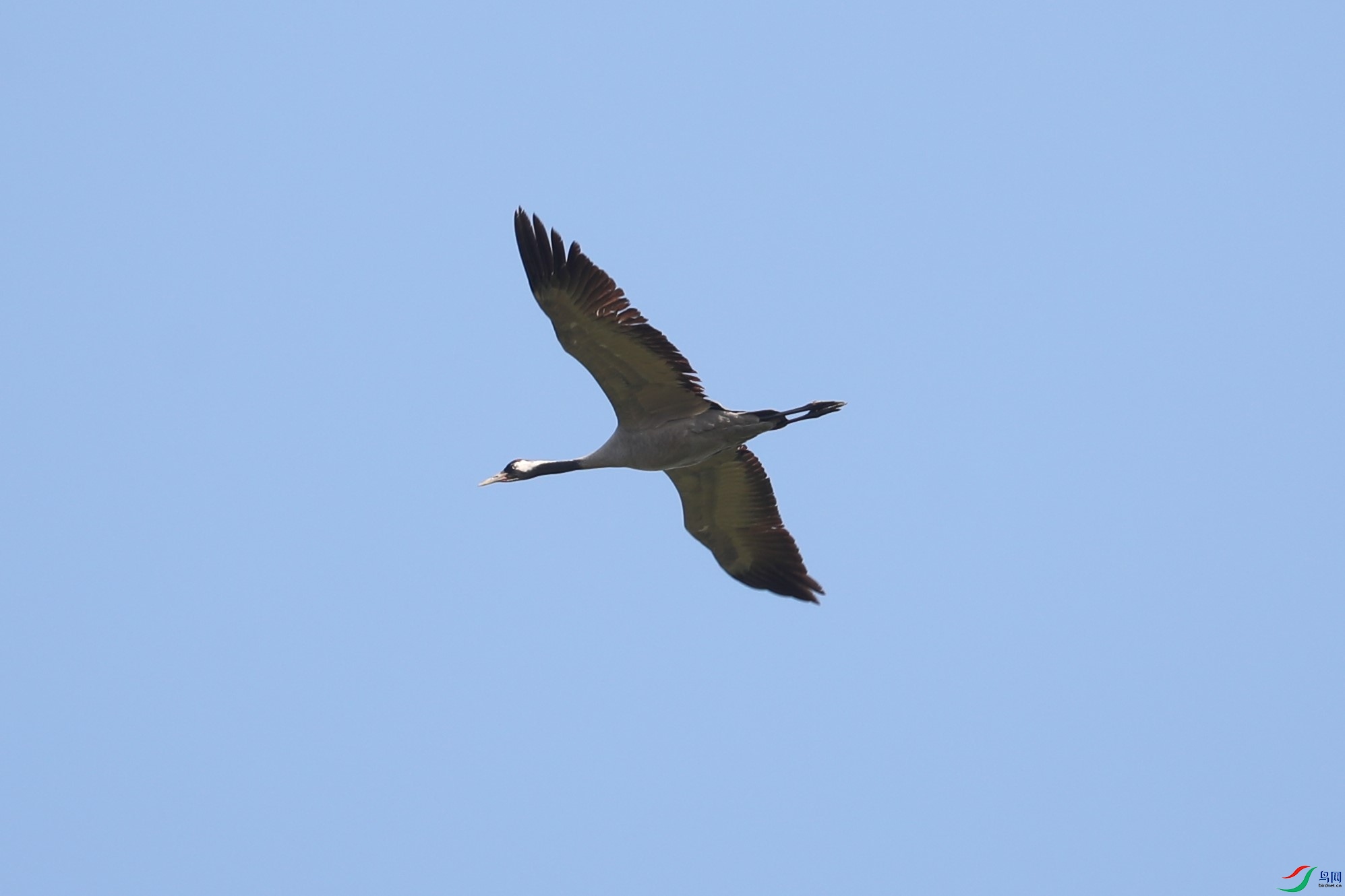 BL7A0788.JPG
