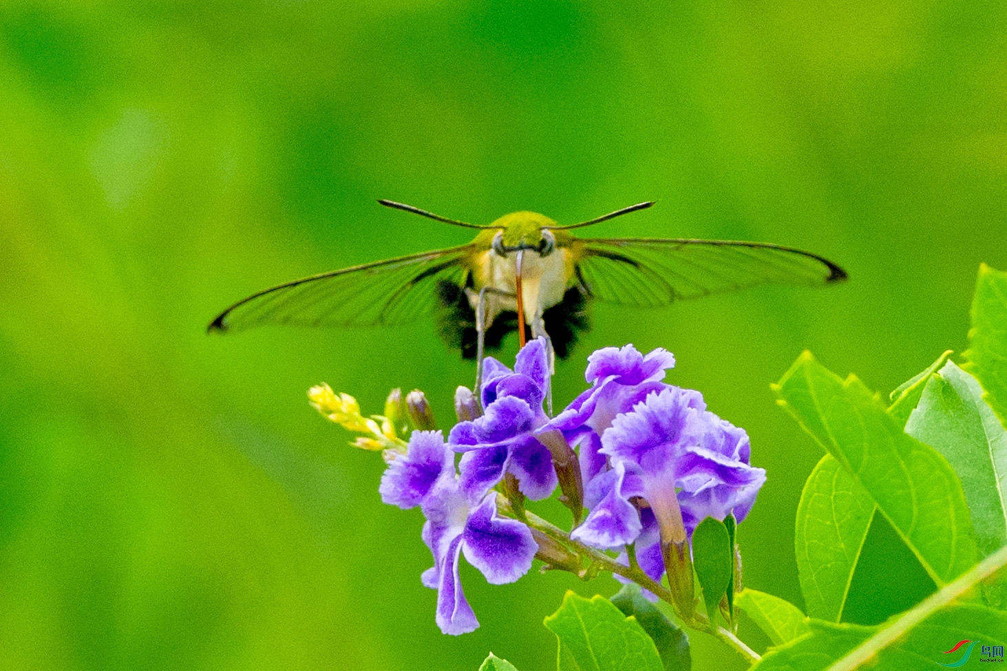 ��LPY_5478.jpg