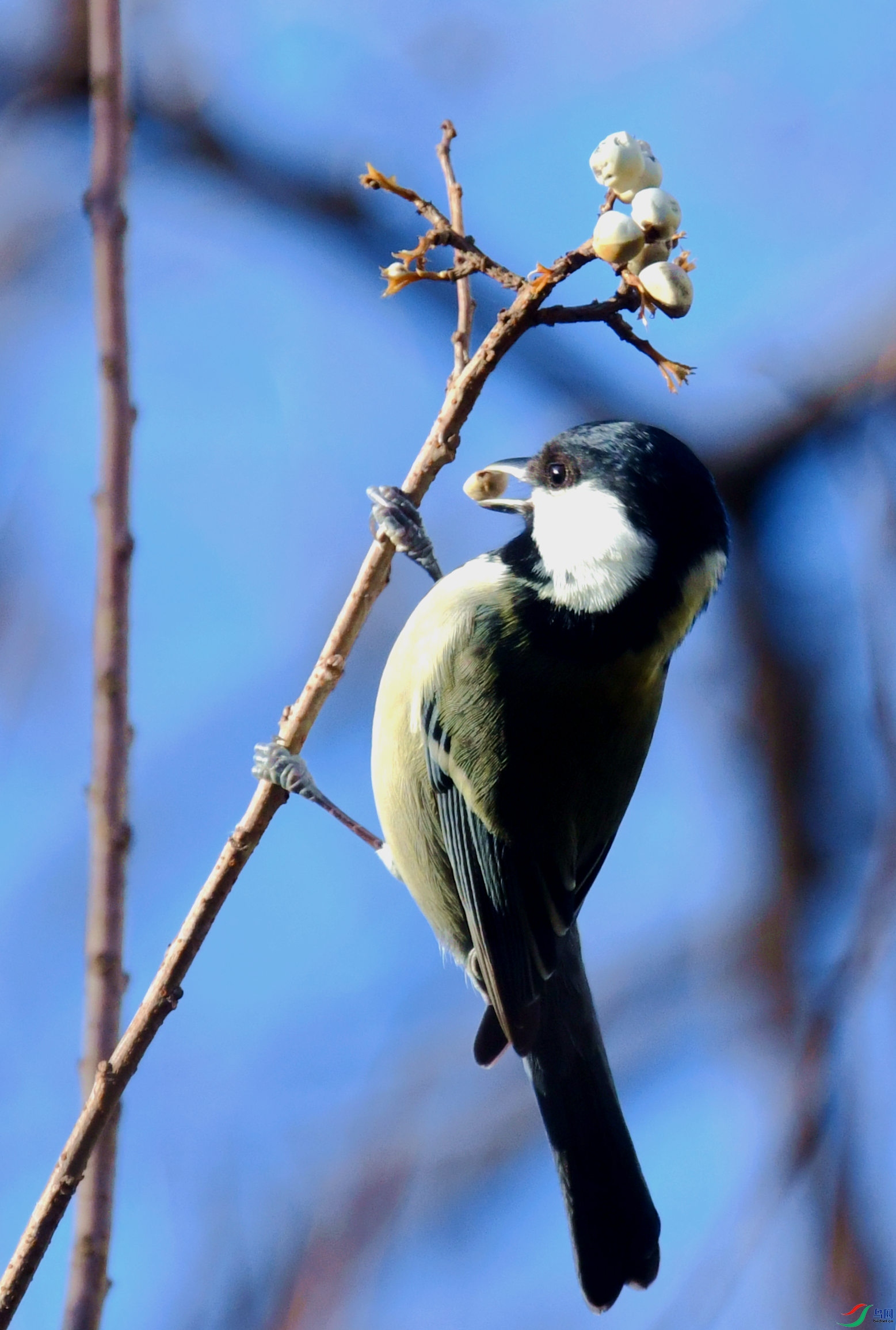 DSC_4625_����.jpg