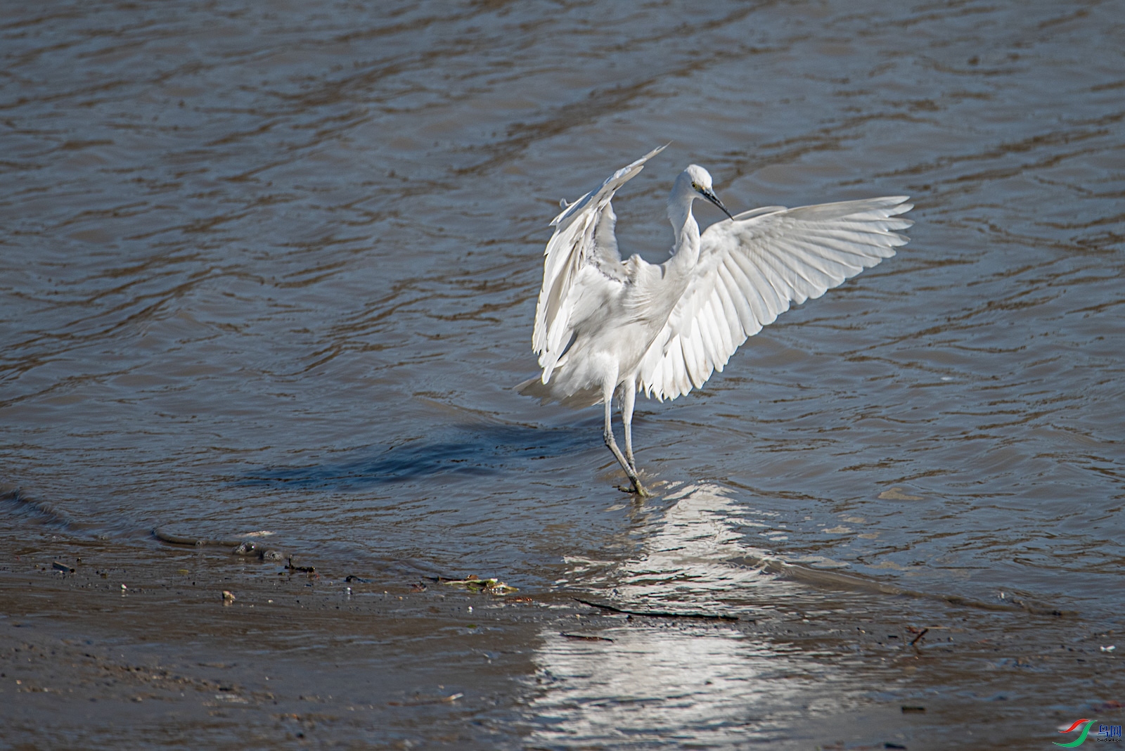 DSC_1256-2.jpg