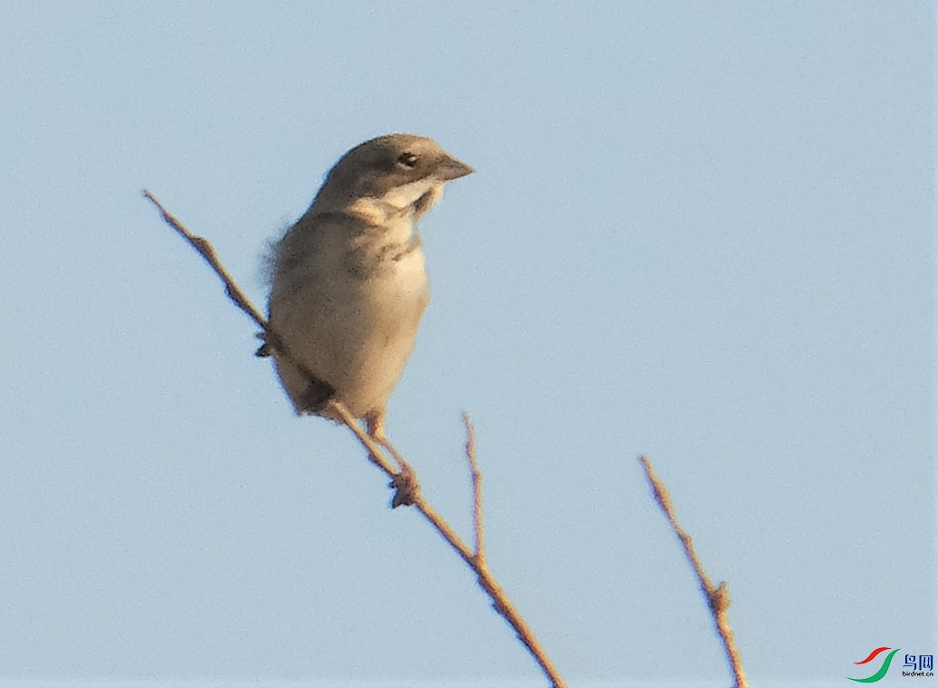 DSCF7915.JPG