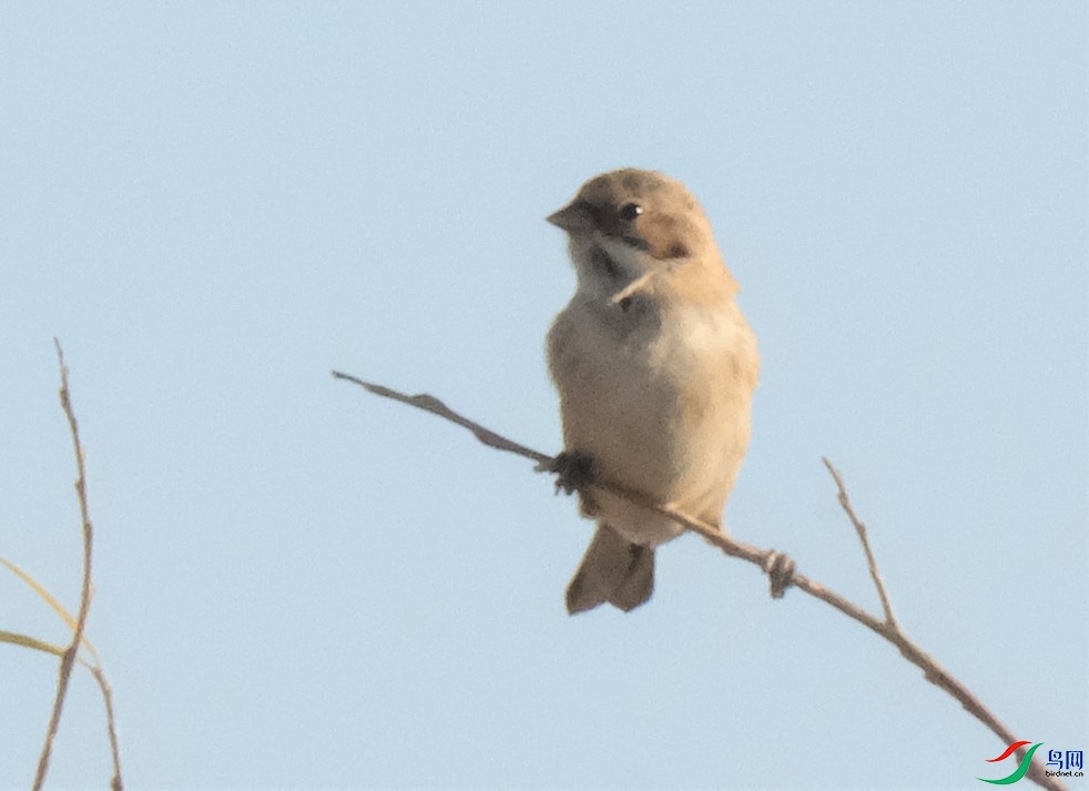 DSCF7917.JPG