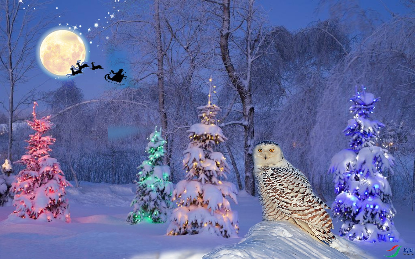 ��Ļ���� 2021-12-19 ����1.38.10.jpg