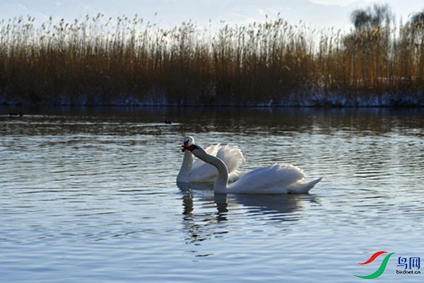 File0000079316.jpg