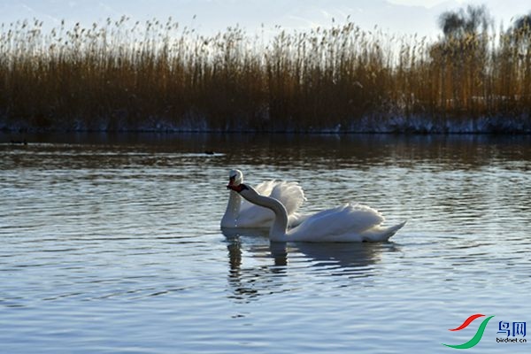 File0000079315.jpg