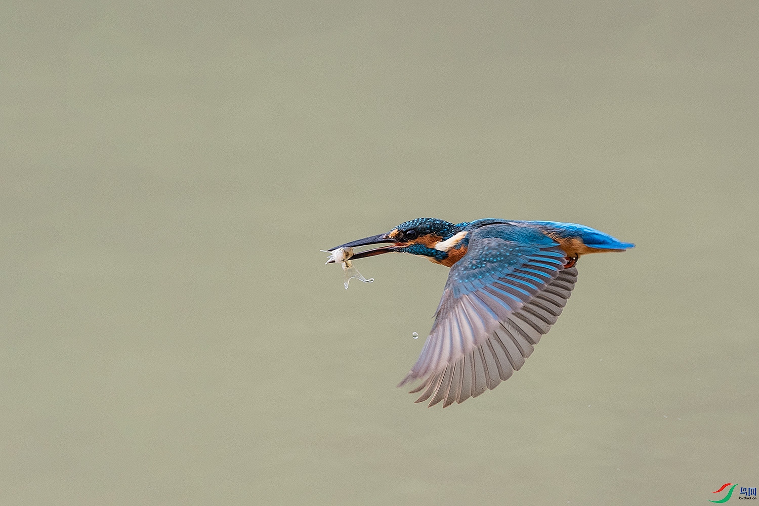 DSC_7559-2.jpg