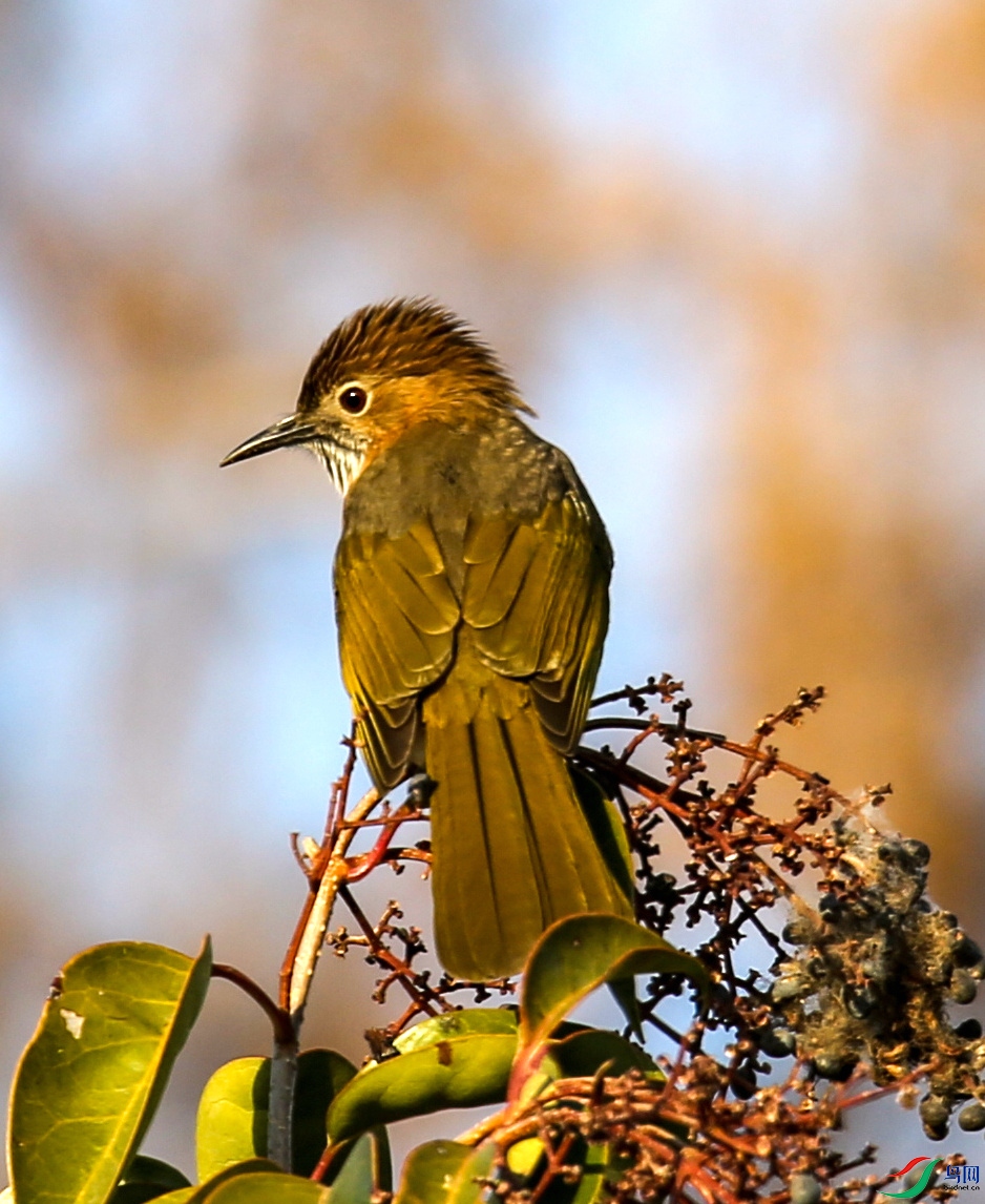 2021��12��18��������̫����