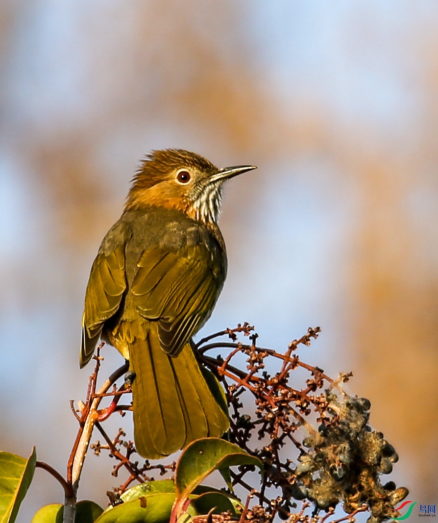 2021��12��18��������̫����