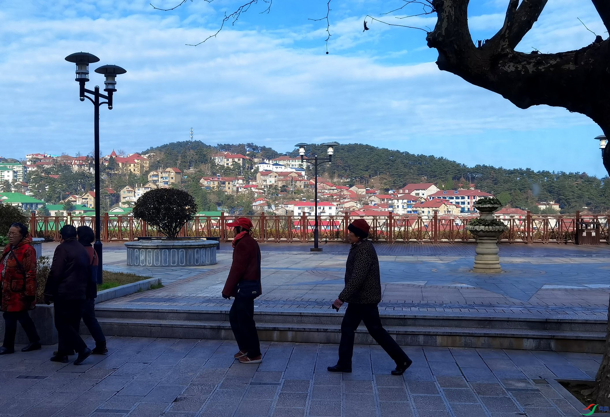 IMG_20201213_093116_����.jpg