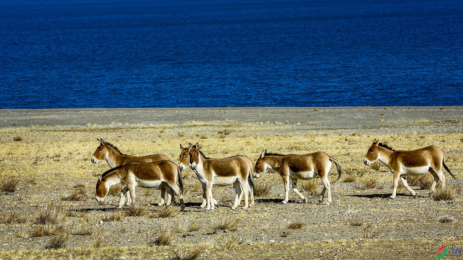 2021��10��27�����������ذ���