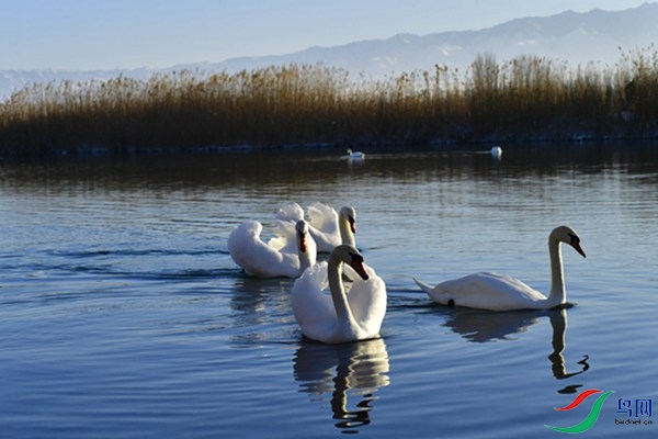 File0000079340.jpg