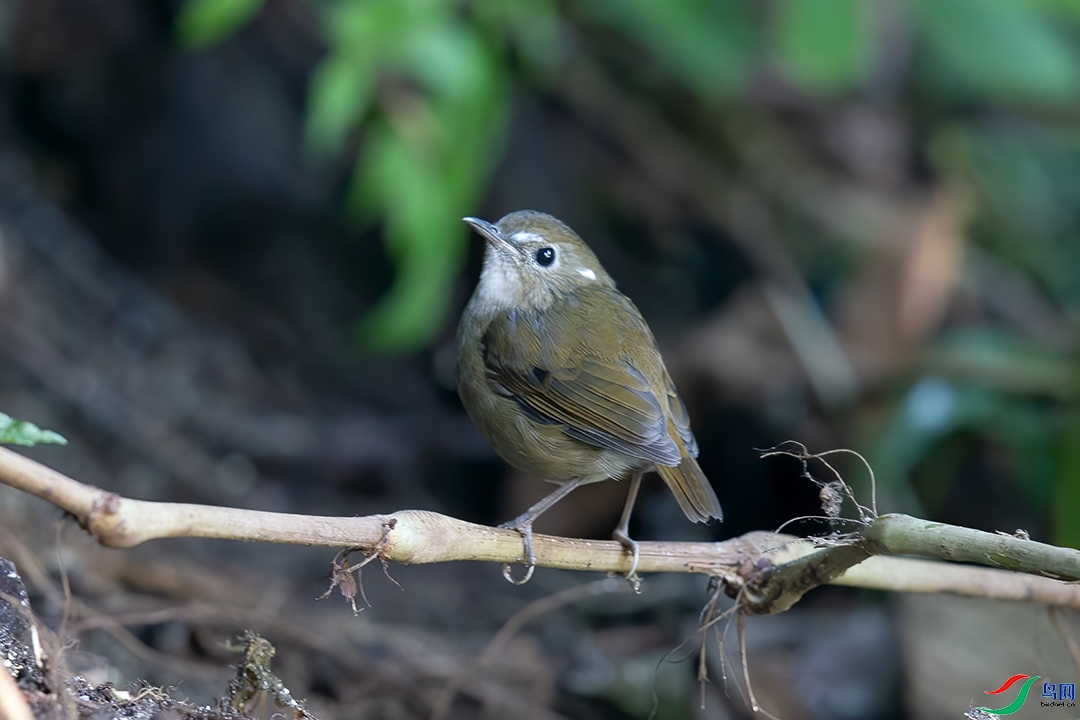 ��������  ��ʦ����������ʡ��ɽ���ڳ���.jpg