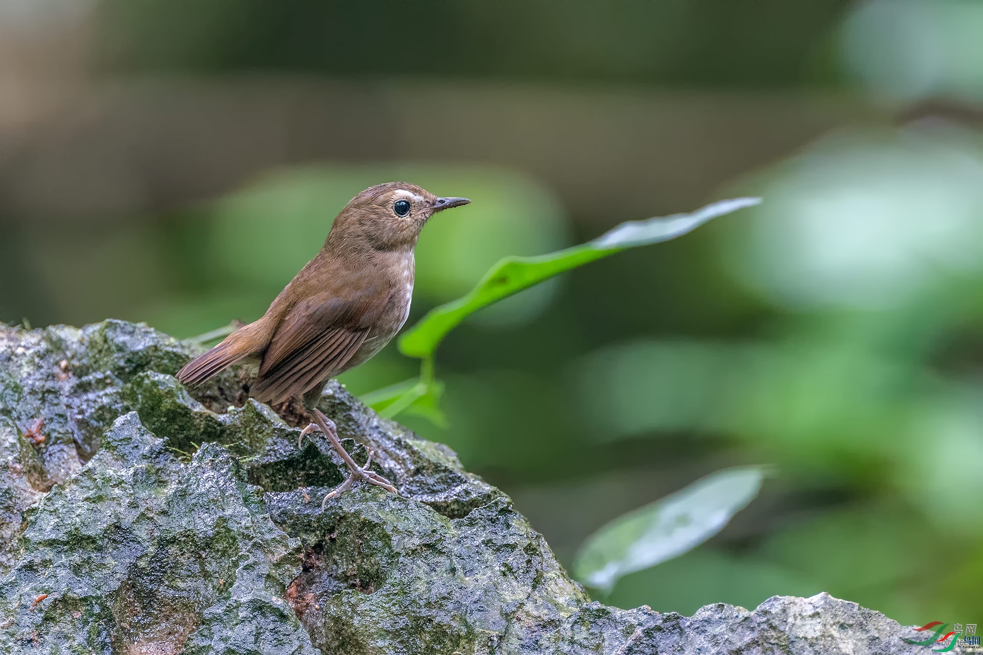 ��  ��ʦ����.jpg