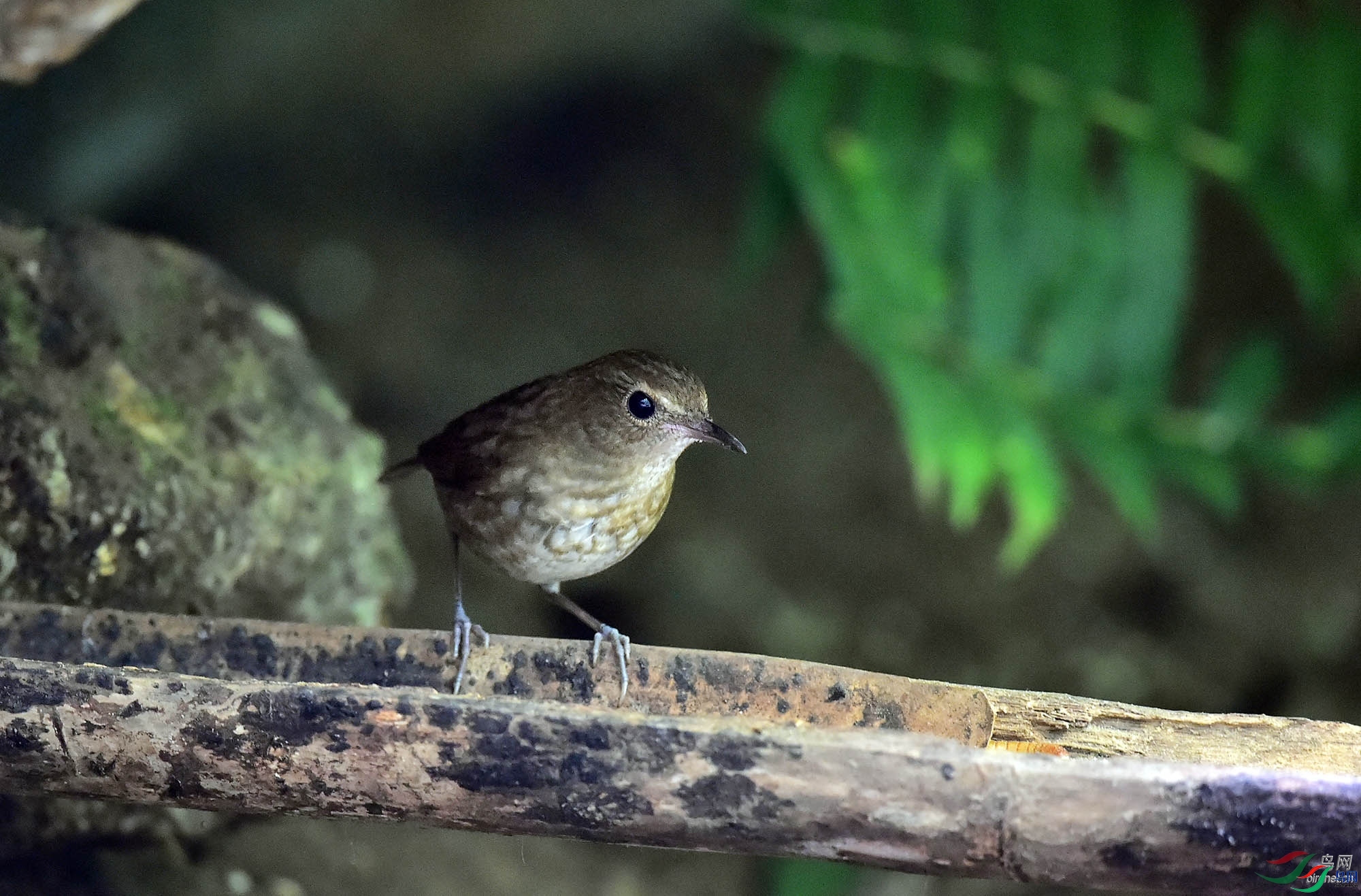 �������  ��ʦ����������ʡ�º���徰����������ӯ����.jpg