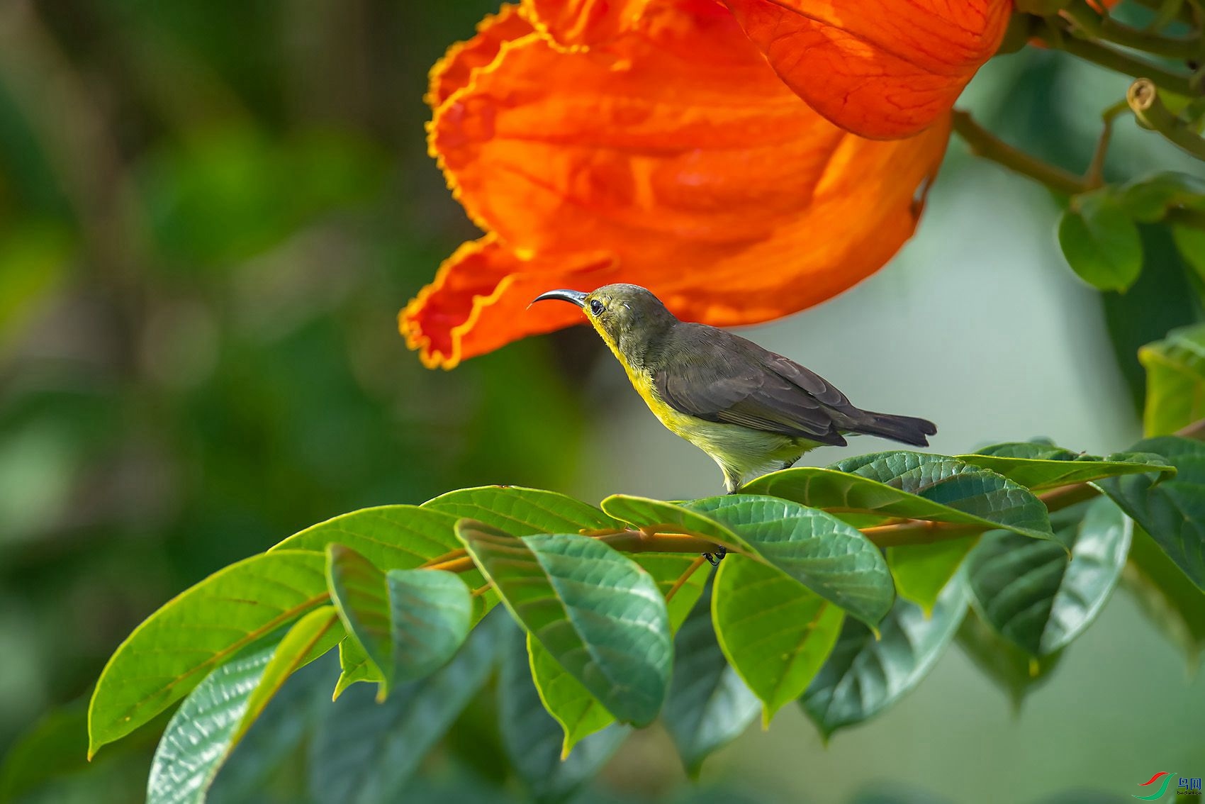 DSC_3468.jpg