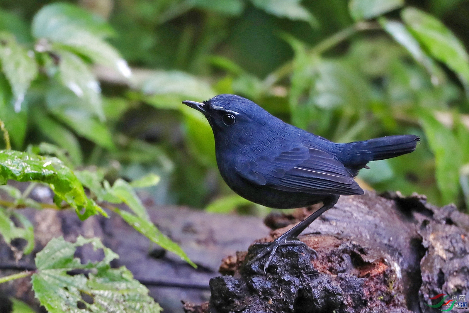 ������  ��ʦ����������ʡ��ɽ��.jpg