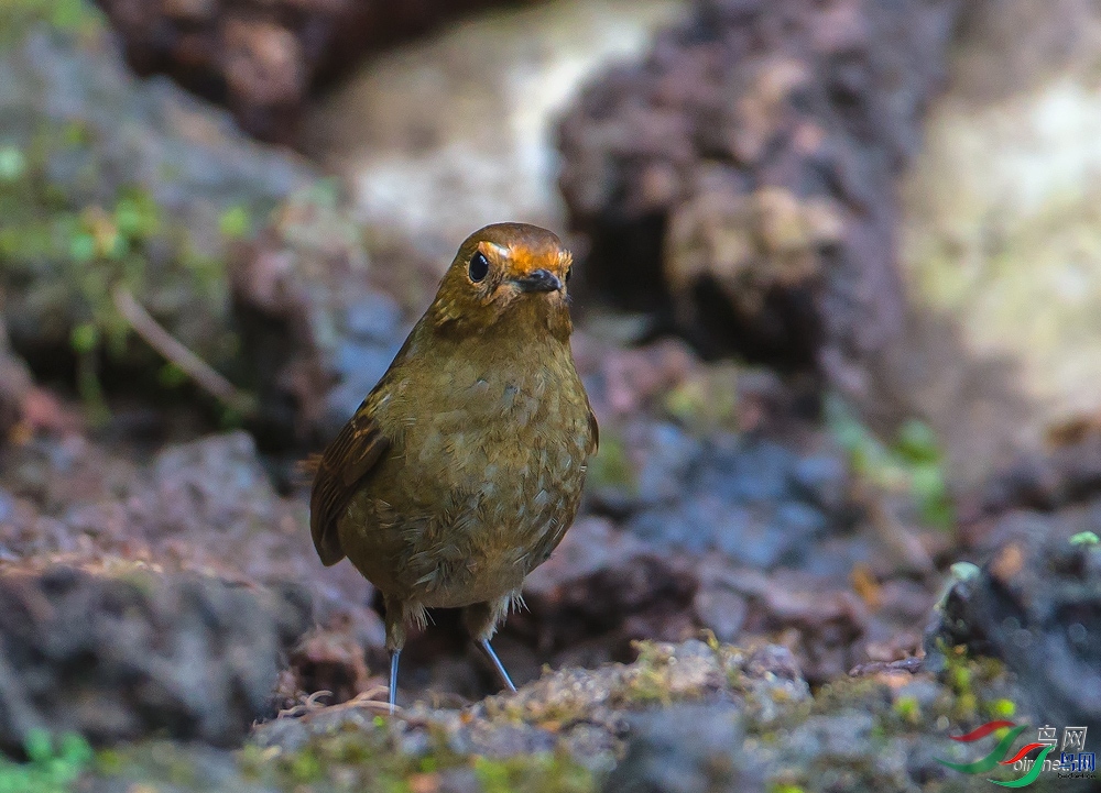 ����  ��ʦ����.jpg