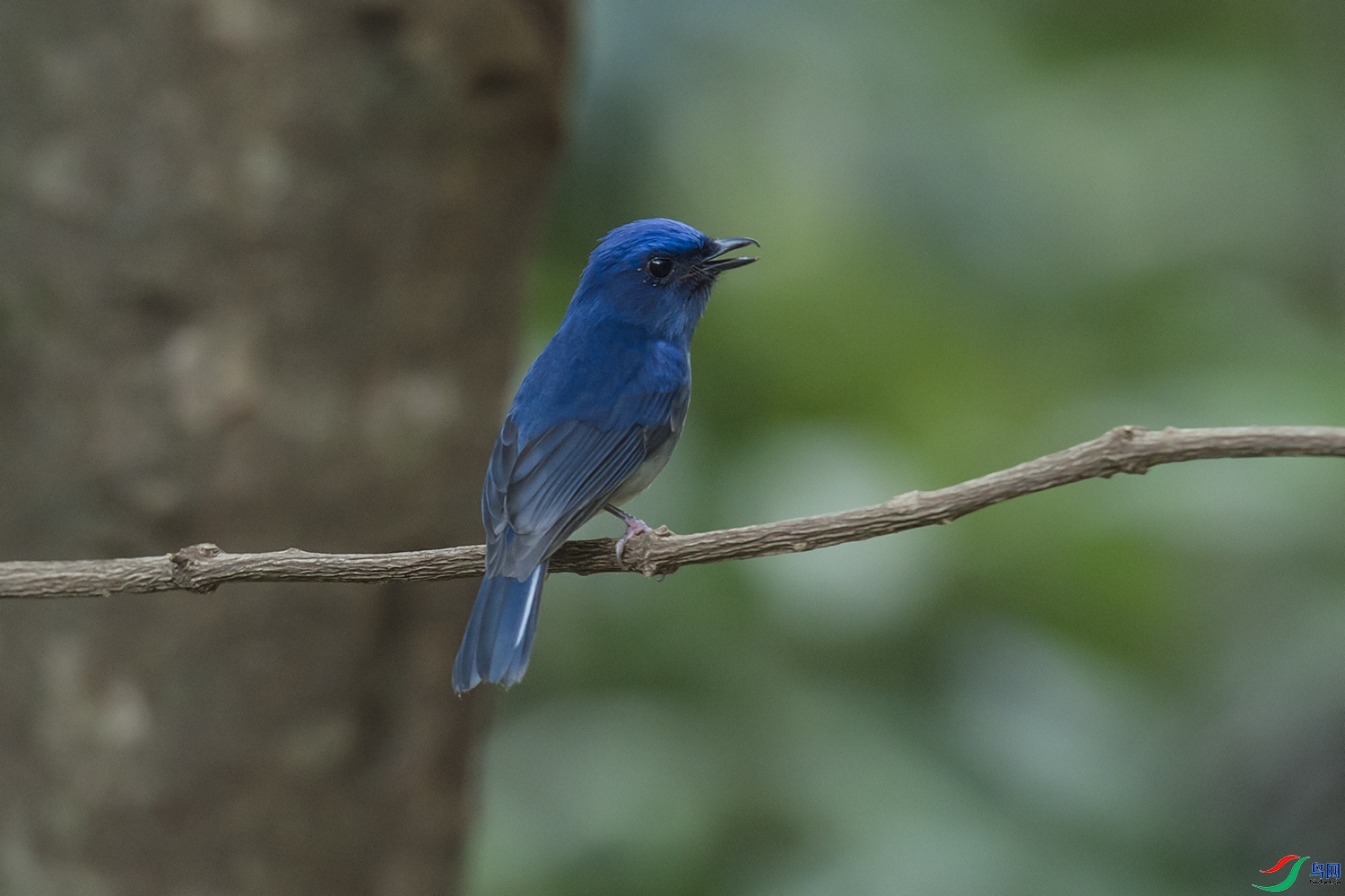 ��ɽ����  ��ʦ����������ʡ�º���徰����������ӯ����.jpg