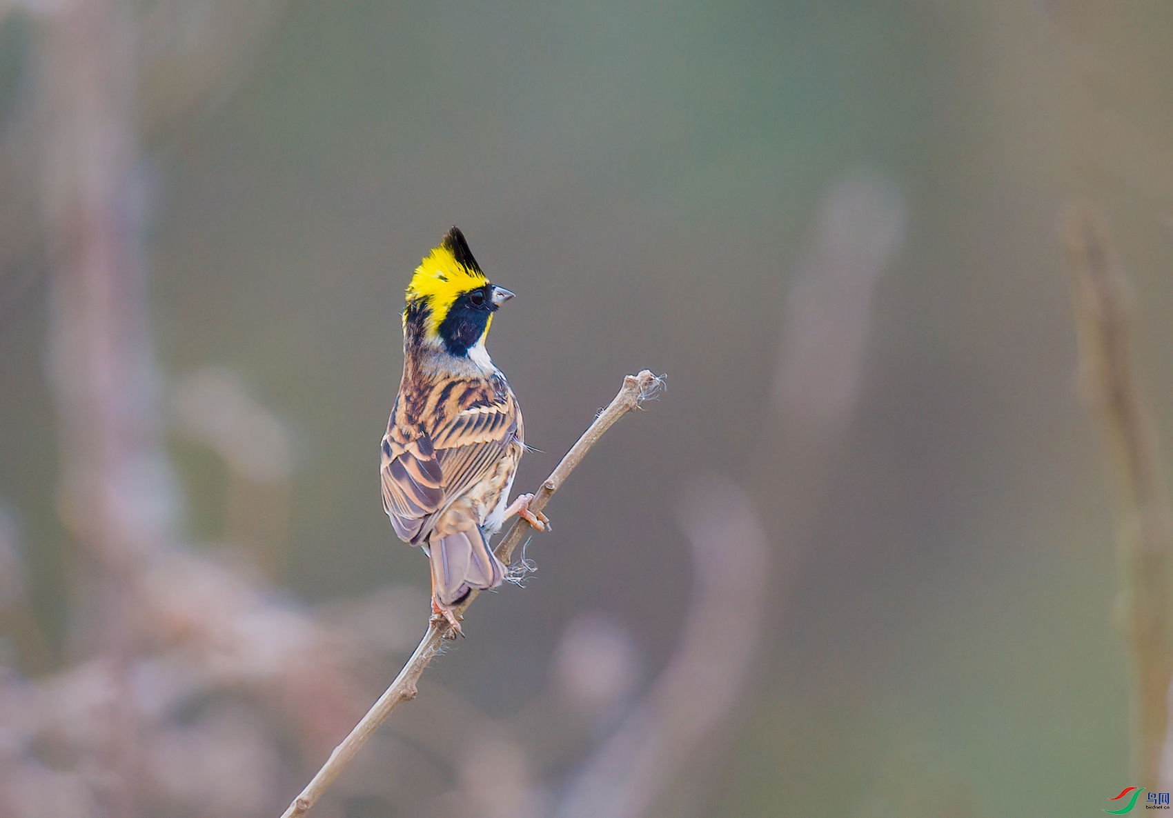 _DSC7730 ����.jpg