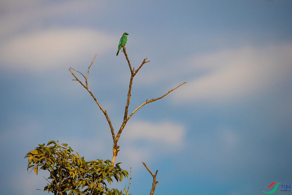 DSC_2761a.jpg
