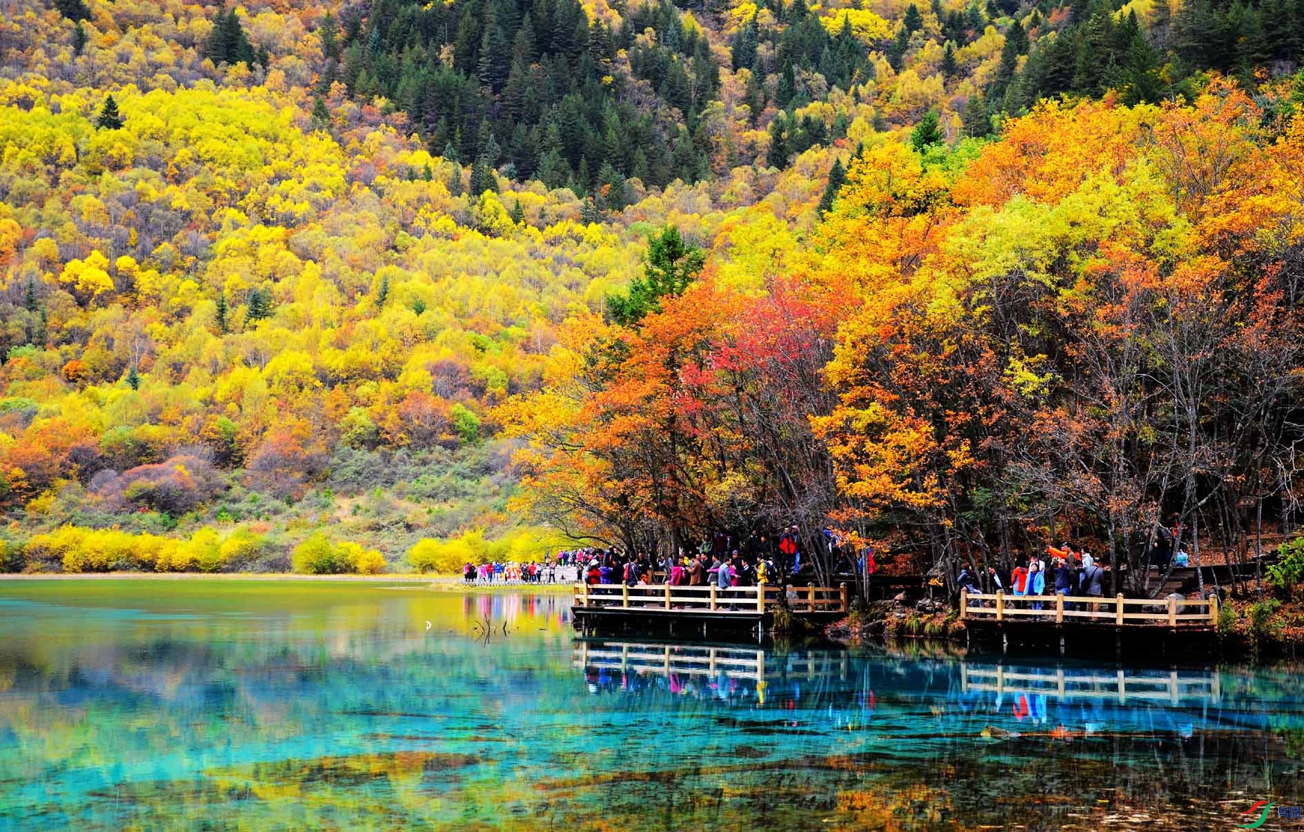 ��կ�� 266.jpg