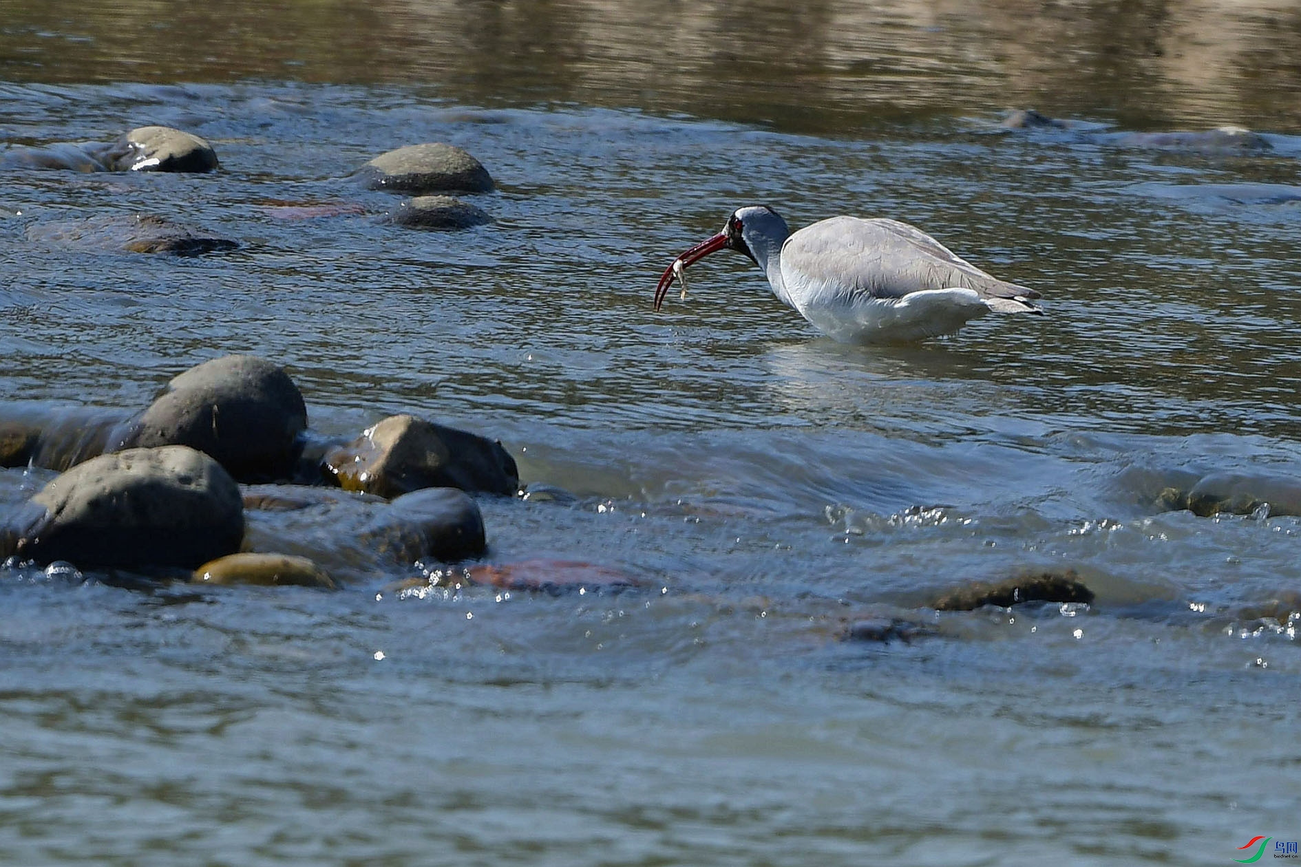 DSC_6139_����.jpg