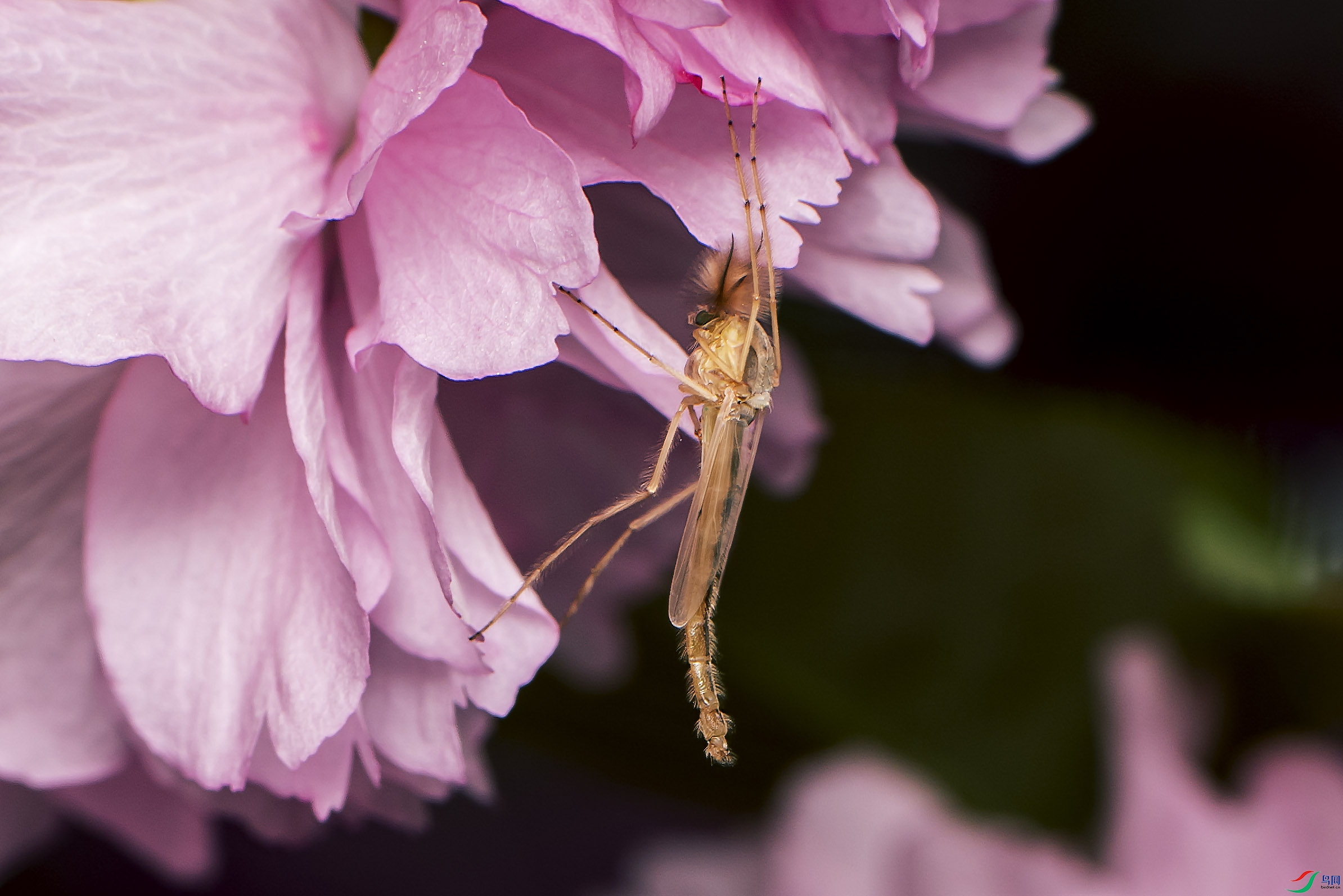 DSC_6755.jpg