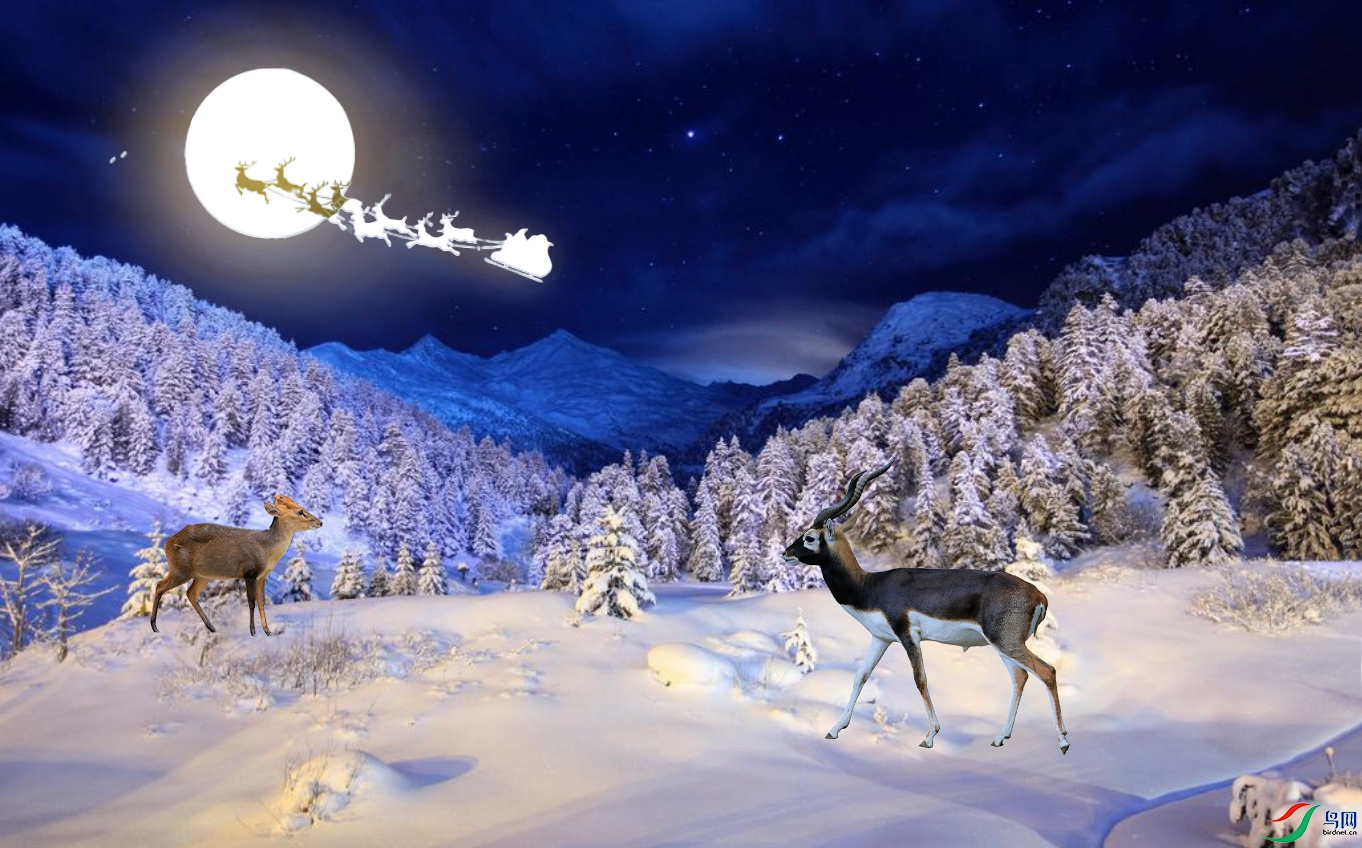 ��Ļ���� 2021-12-19 ����1.37.40.jpg