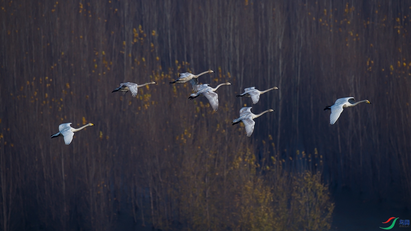 XCG_5922 - ����.jpg