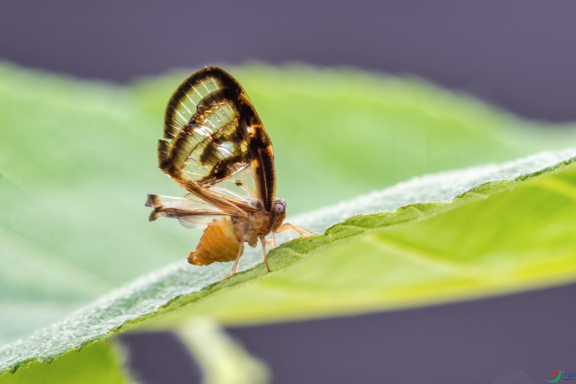 DSC_7141-1.jpg