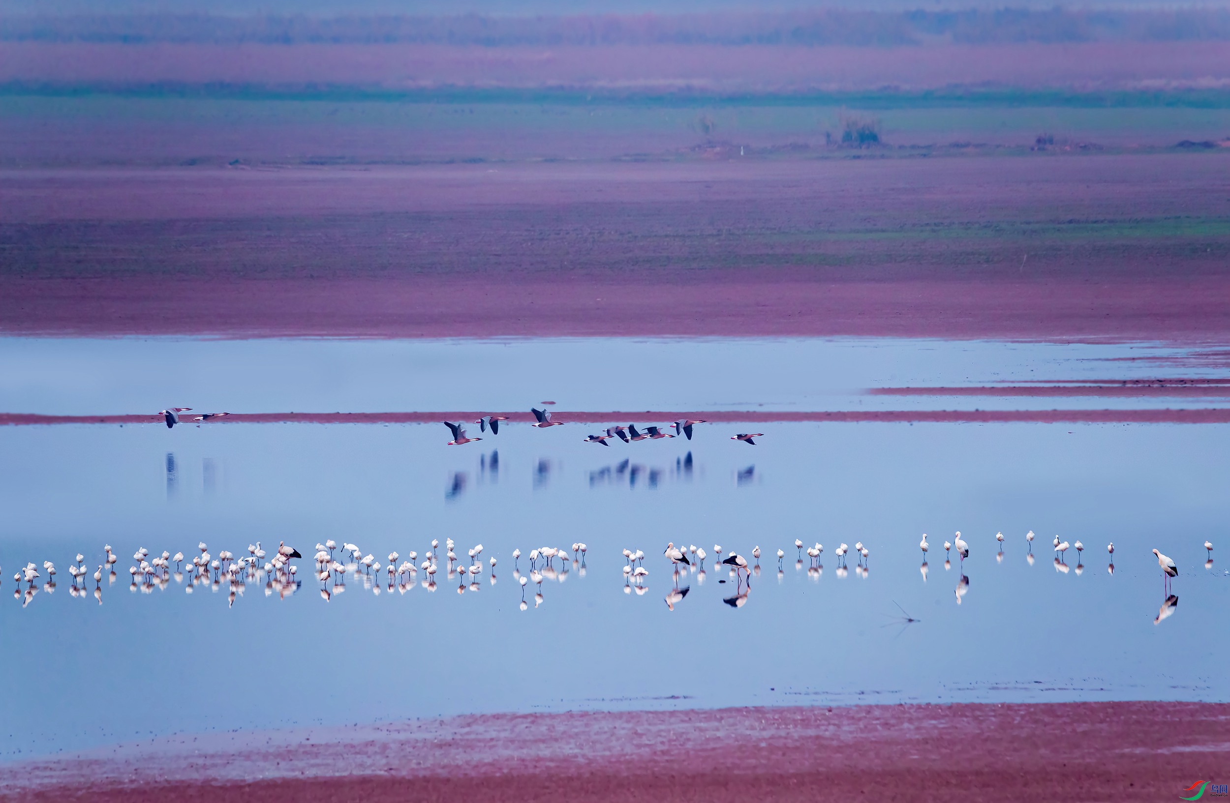 B74I1726- ����.jpg