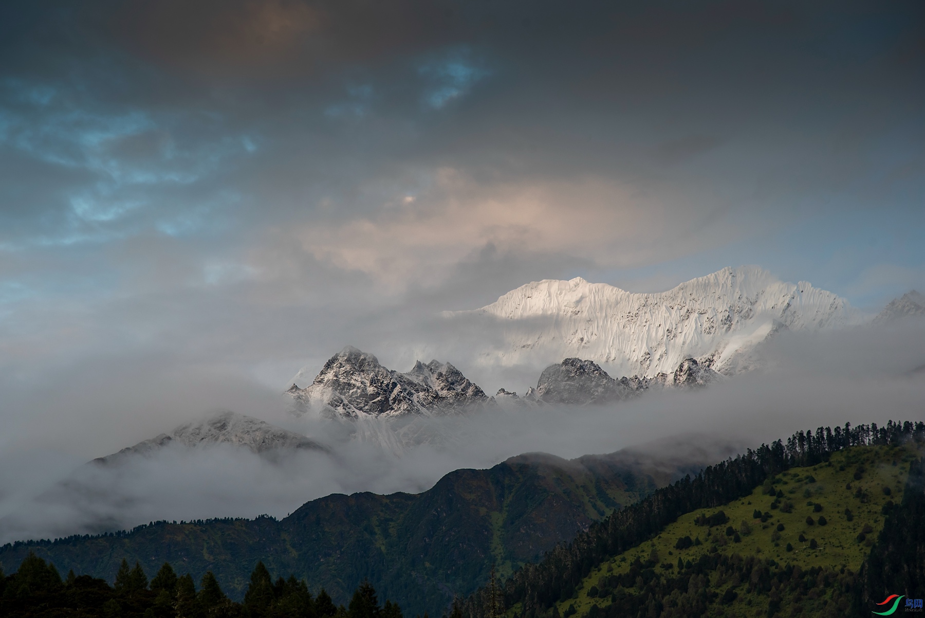 DSC_8647 ����_����.jpg