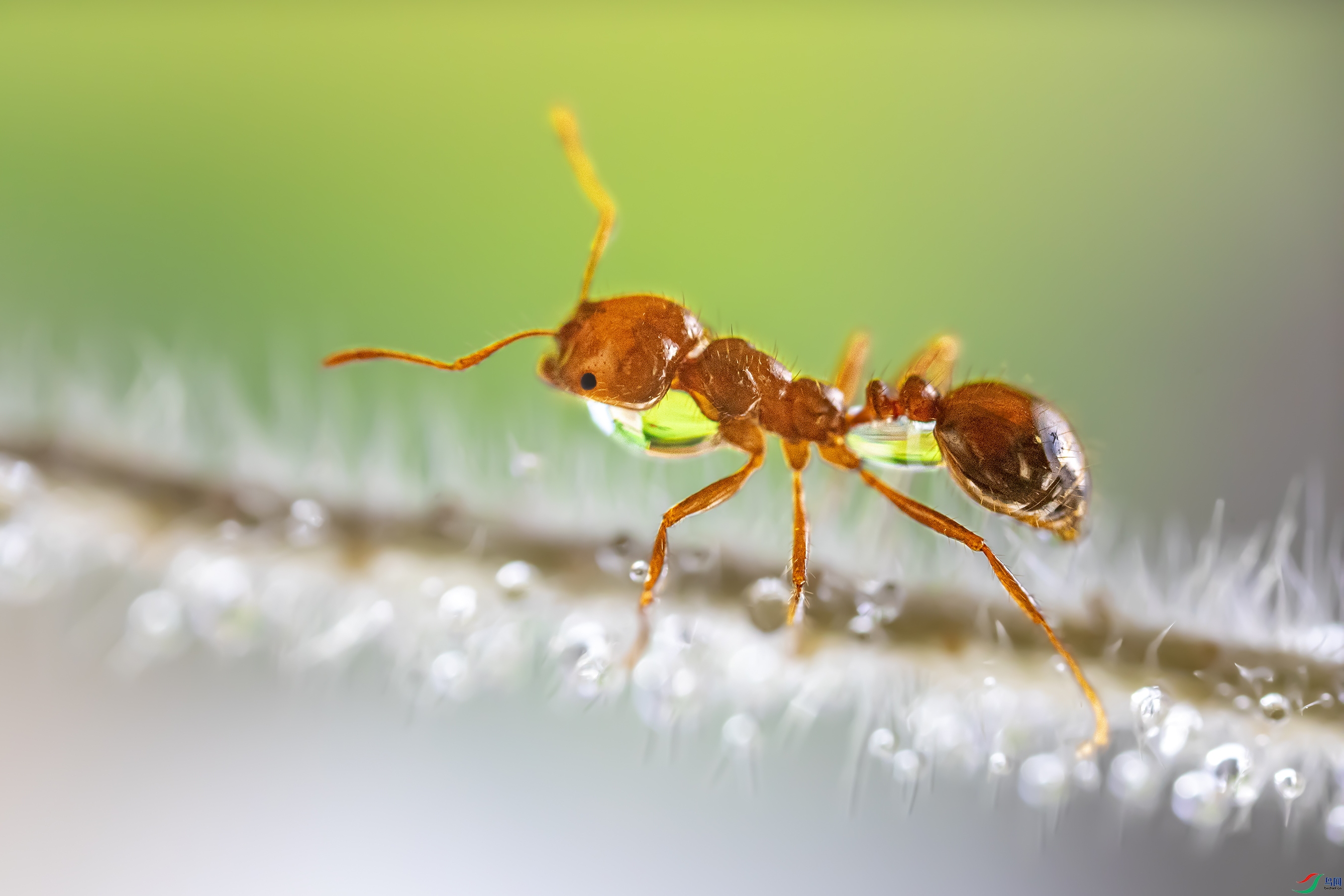F71A3787-1.jpg
