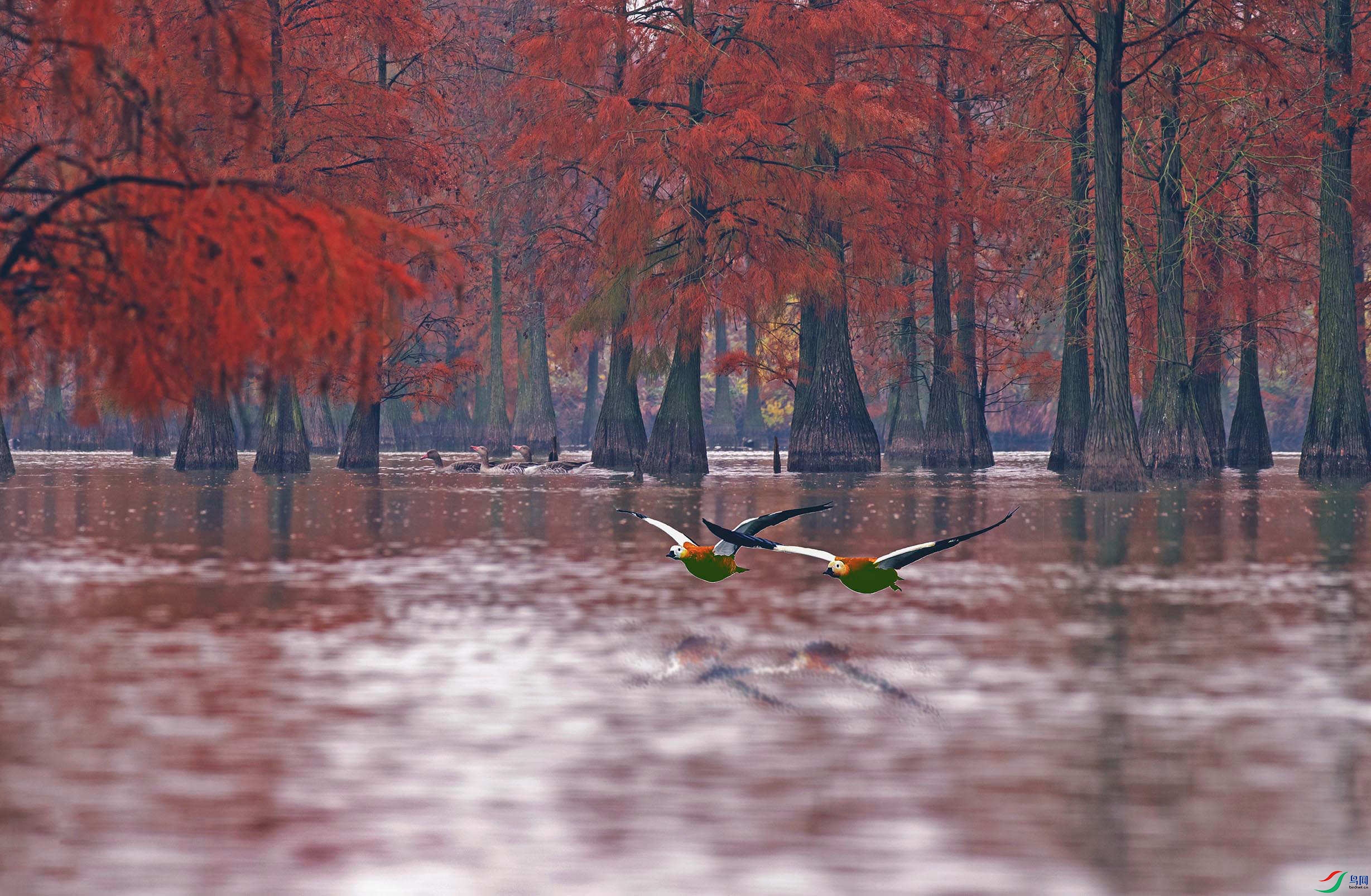 DSC_7765-2.jpg