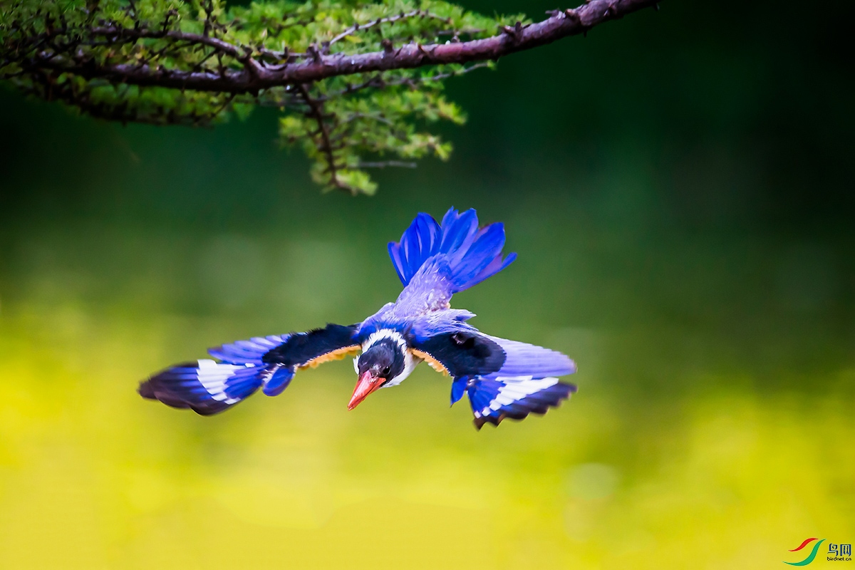 ��_N6O8376��Ϊ���ܶ��� ����.jpg