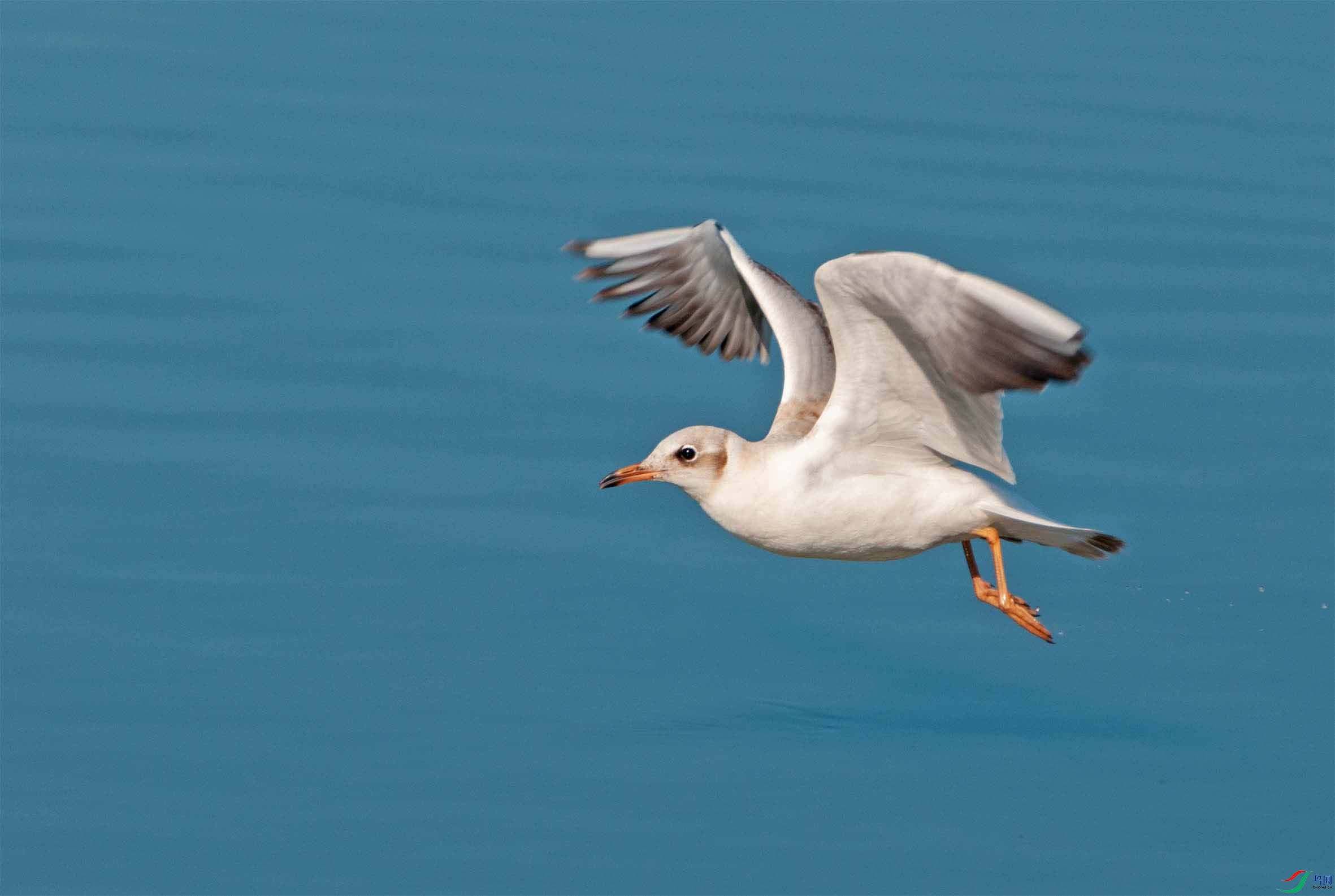 DSC_9050-3 - ���� (2).jpg