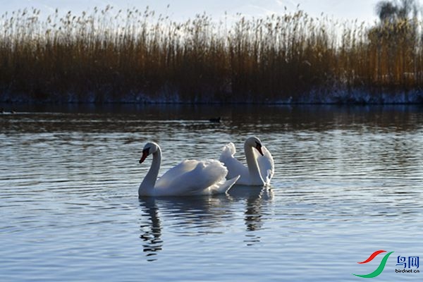 File0000079319.jpg