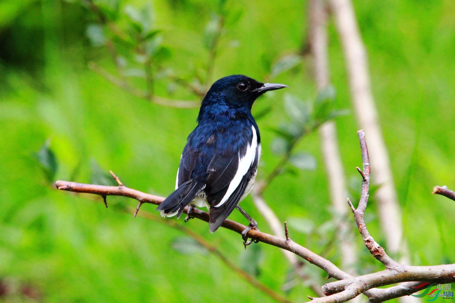 ���ִ�Į����  ��ʦ����������ʡ��ɽ��.jpg