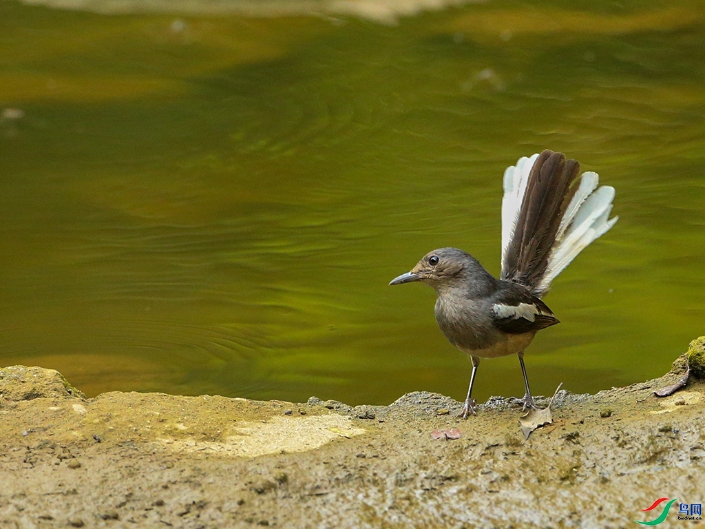 л����  ��ʦ�����ڽ���ʡ�Ž���.jpg