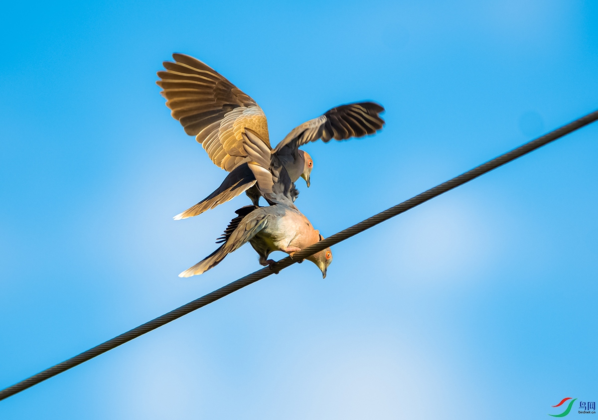 DSC_4725 ����.jpg