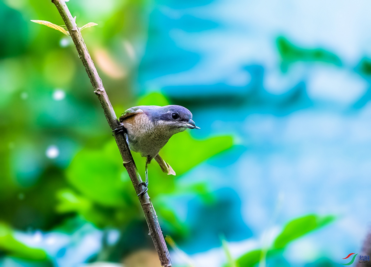 ���Ʋ��� ����.jpg