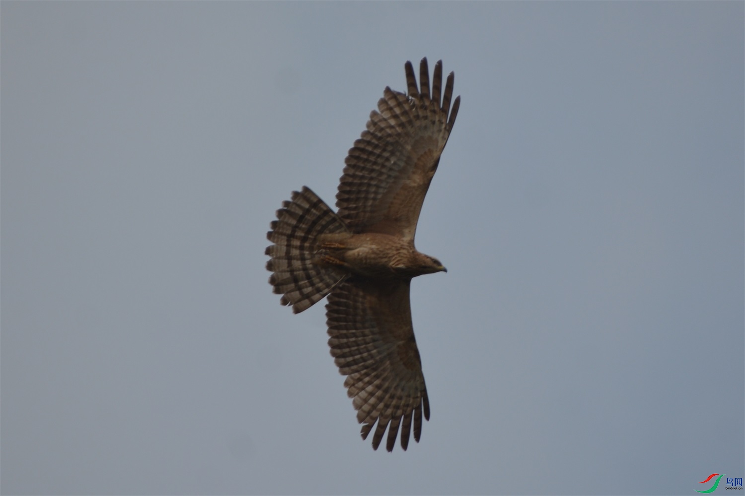 DSC_35441_��ͼ��.jpg