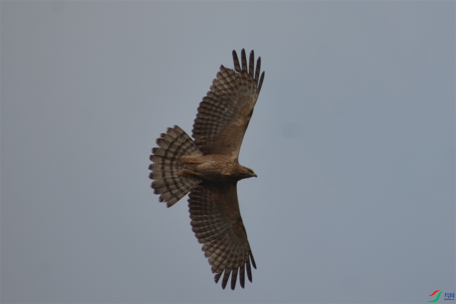 DSC_35431_��ͼ��.jpg