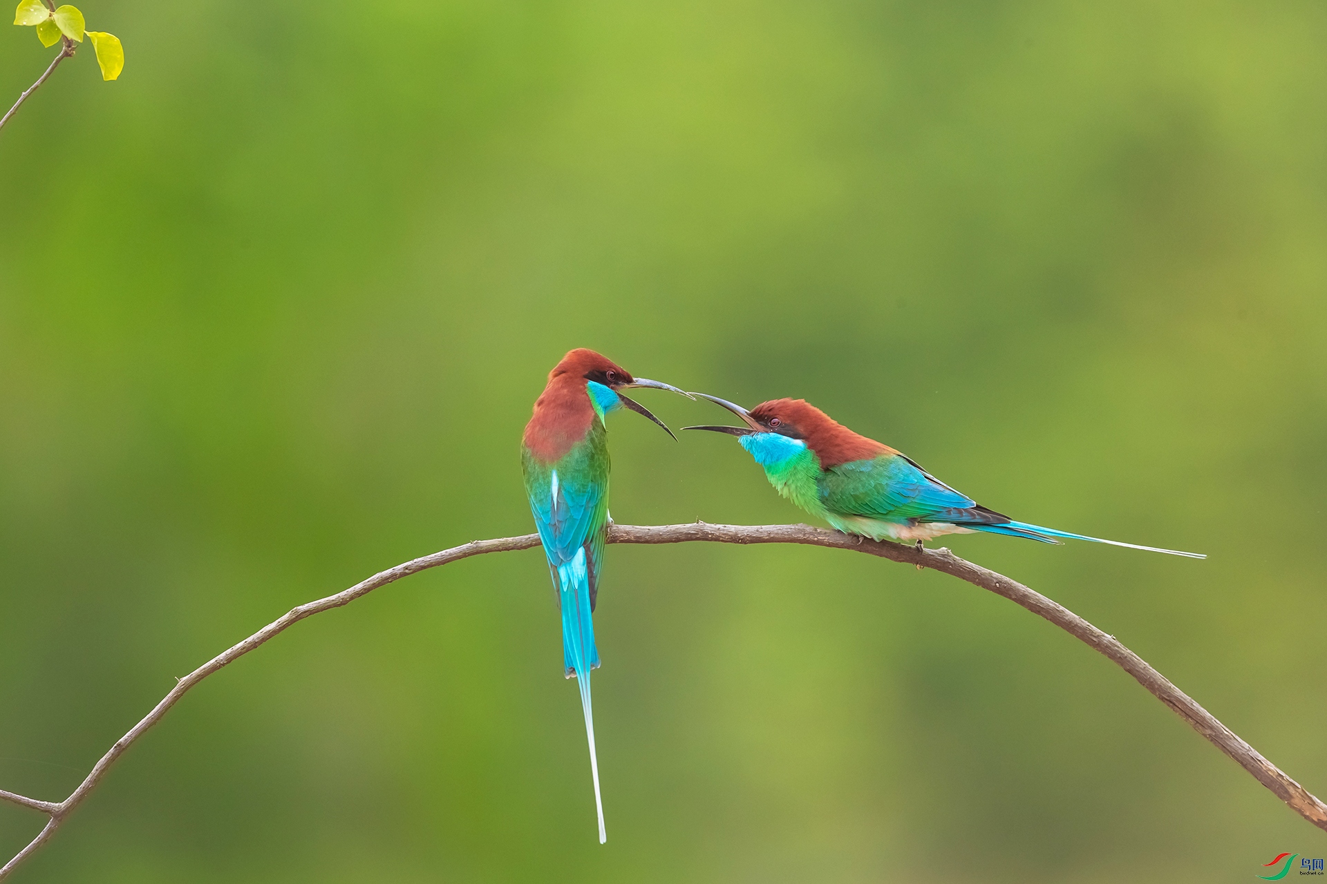 BP1I3601 ����.jpg