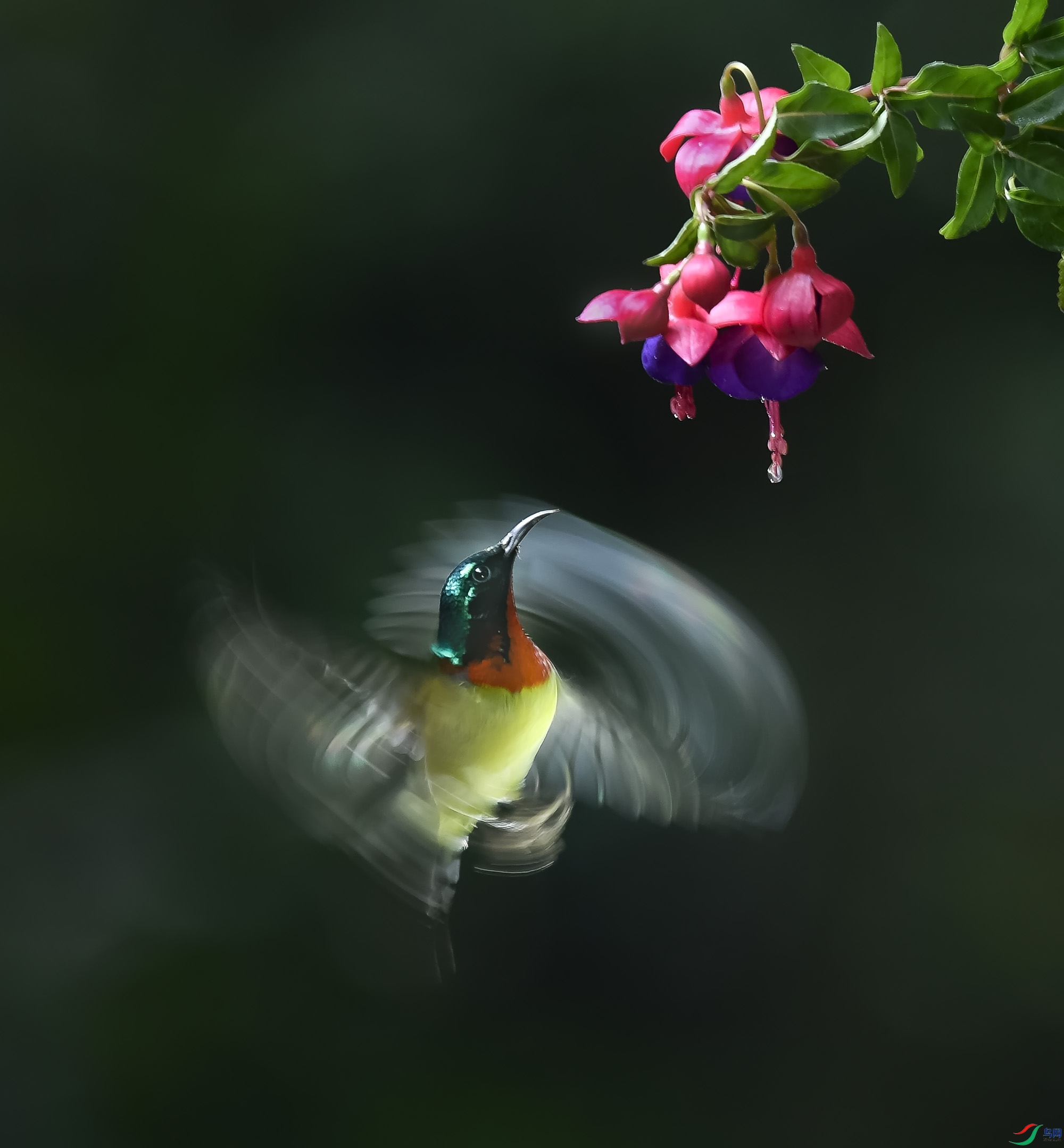 _Y210891.JPG