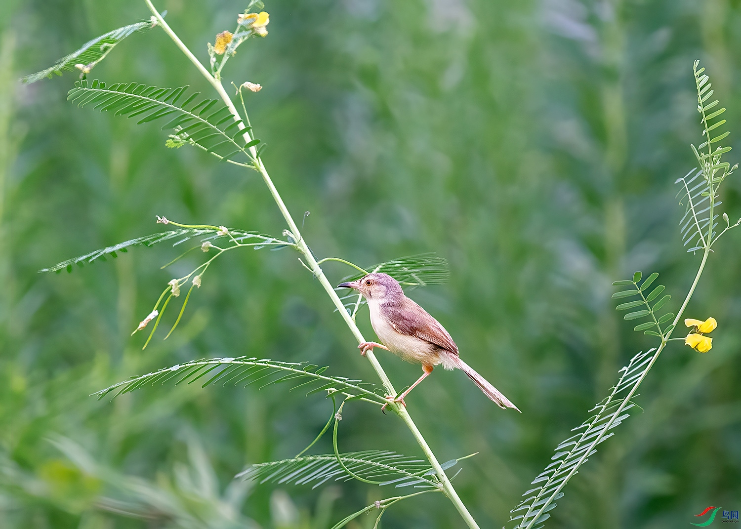 DSC_3539-2.jpg